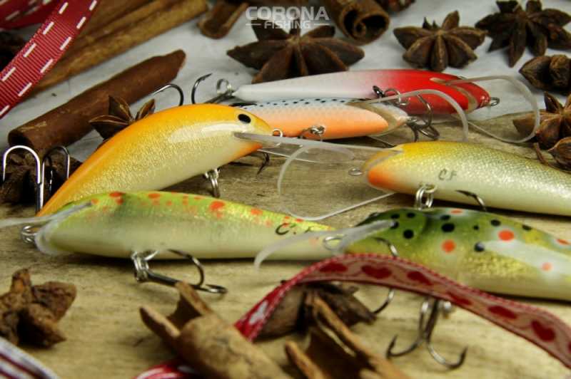 co kupić wędkarzowi